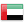 UAE Flag Icon