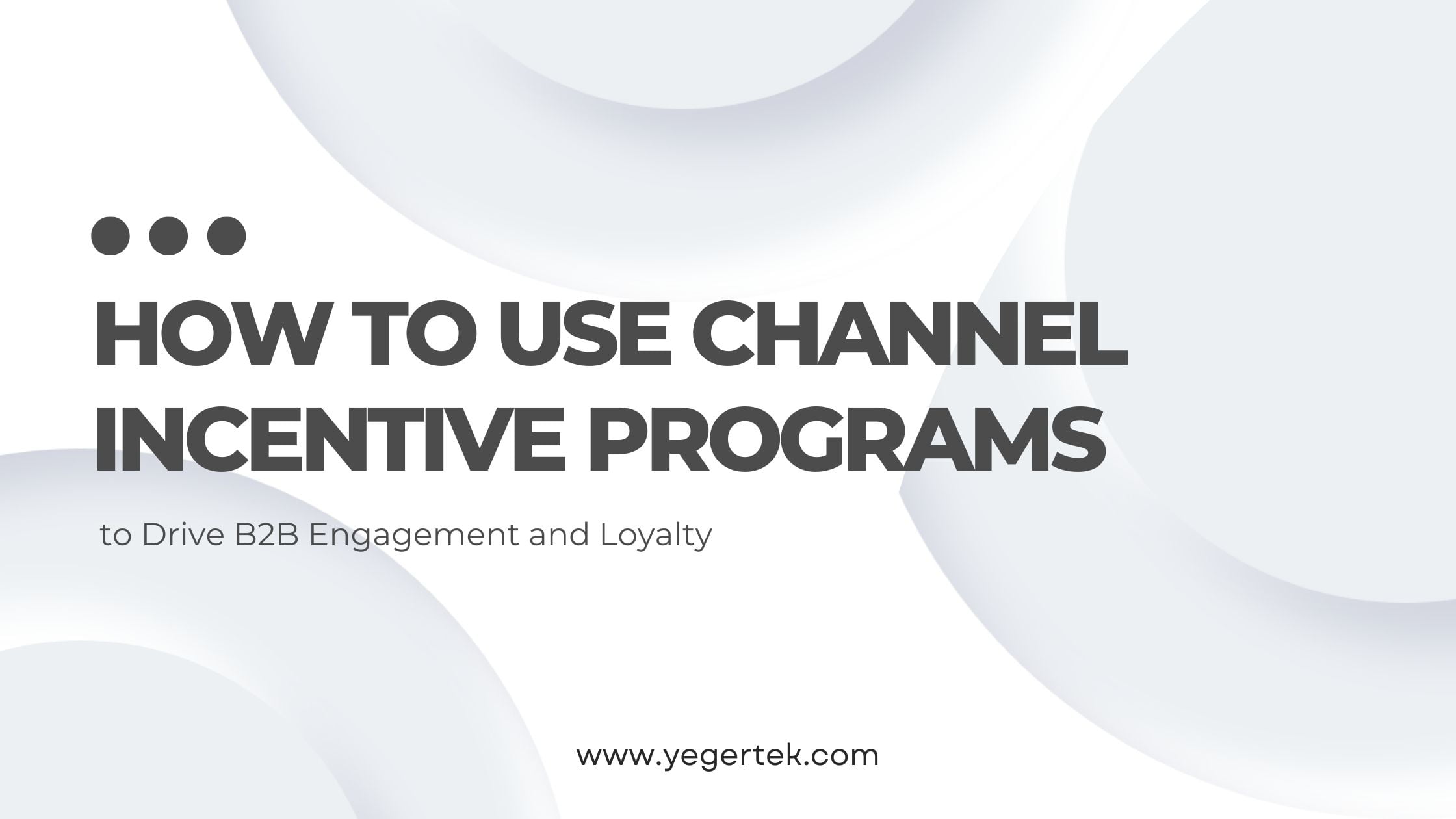 Channel Incentive Partner Loyalty Program